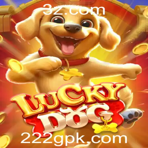 222g Casino App